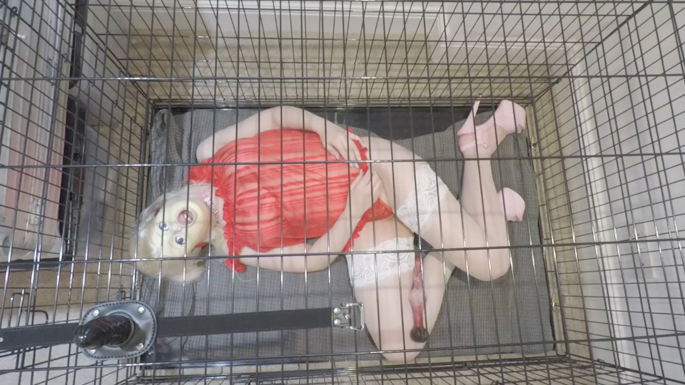 Caged Whore Doll Pet